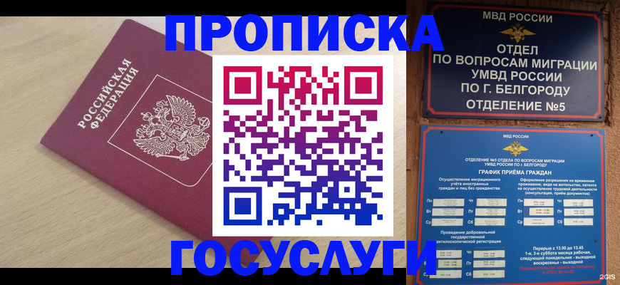 прописка законно в Людиново